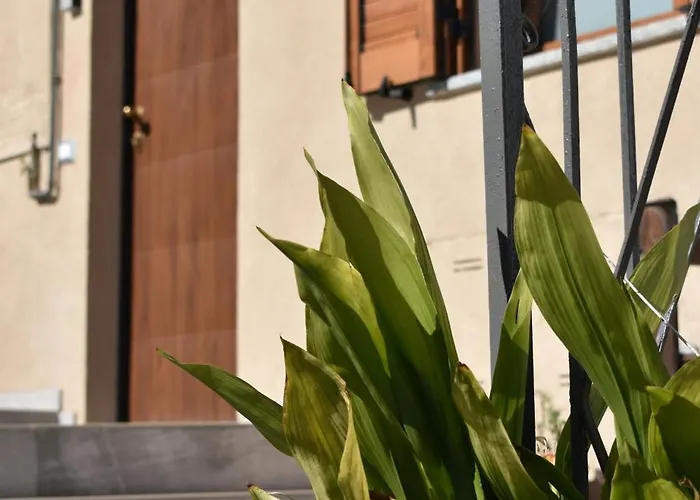 Cheryl Apartament Ranco